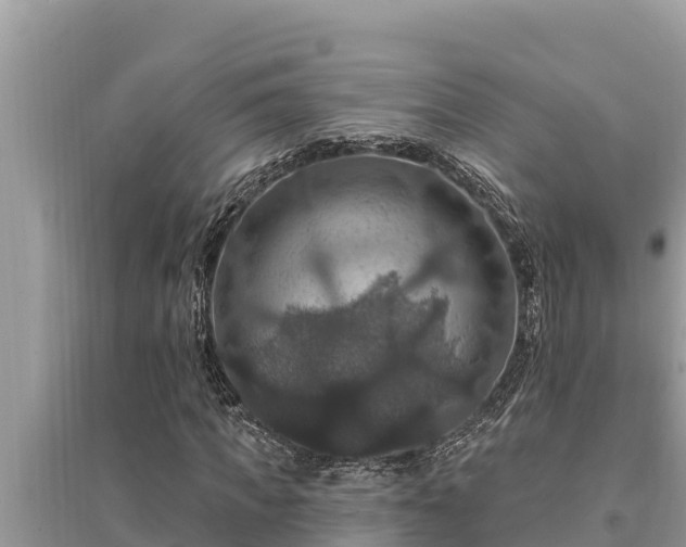 X0000095550917200712211406