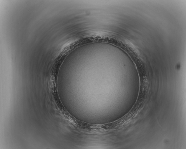 X0000095550918200712211406