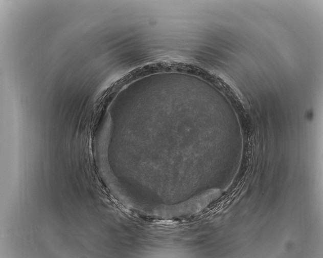 X0000095550919200712211406