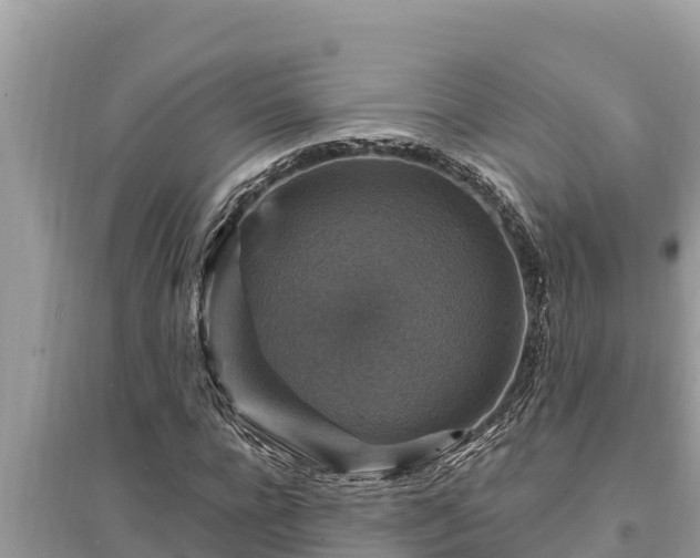 X0000095550920200712211406