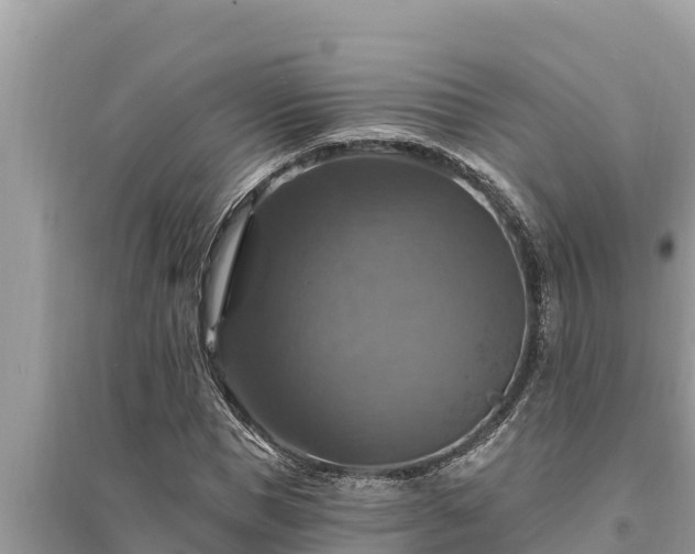 X0000095550921200712211406