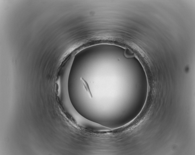 X0000095550922200712211406