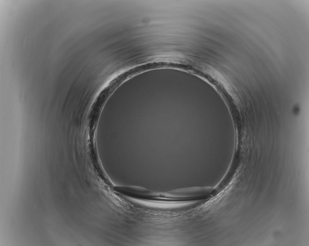 X0000095550923200712211406