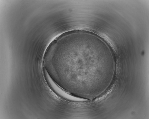 X0000095550924200712211406