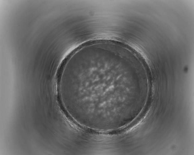 X0000095550925200712211406