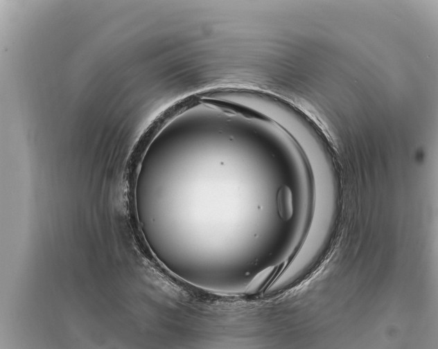 X0000095550926200712211406