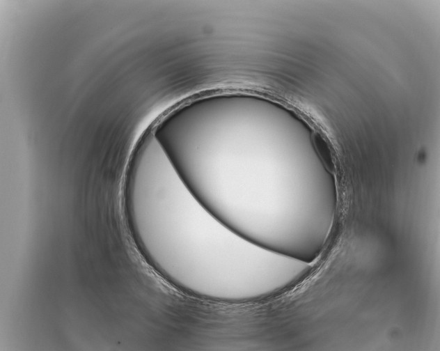 X0000095550928200712211406