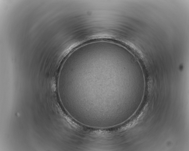 X0000095550929200712211406