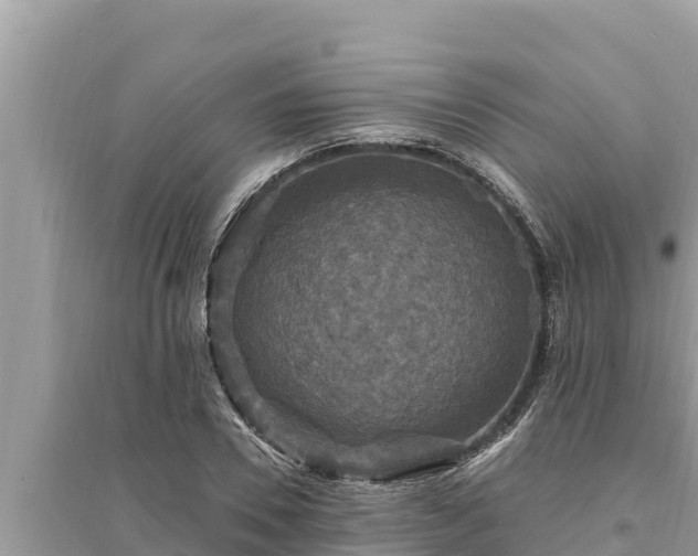 X0000095550930200712211406