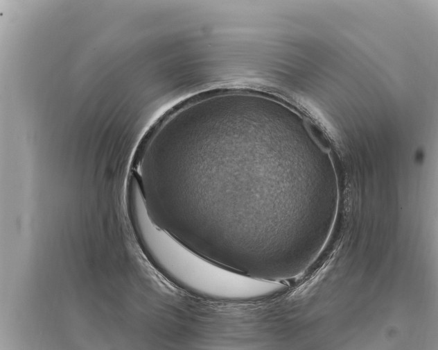 X0000095550932200712211406