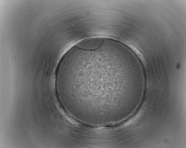 X0000095550933200712211406