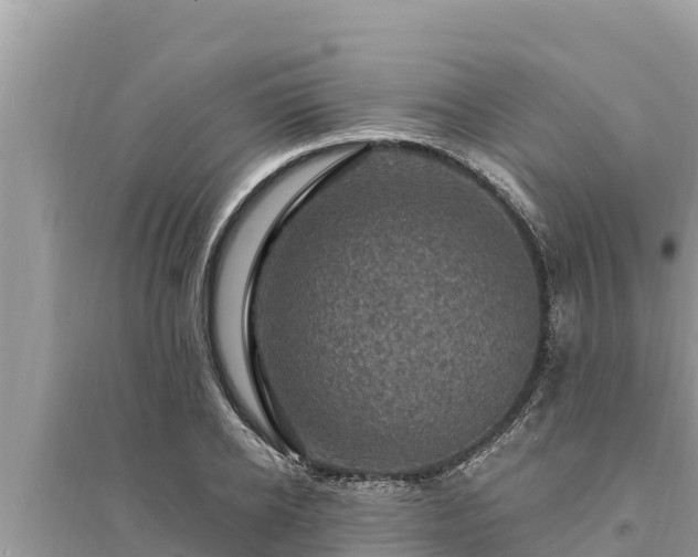 X0000095550934200712211406