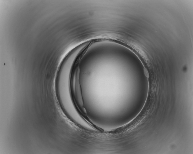 X0000095550936200712211406