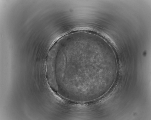 X0000095550937200712211406