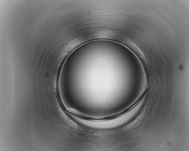 X0000095550938200712211406