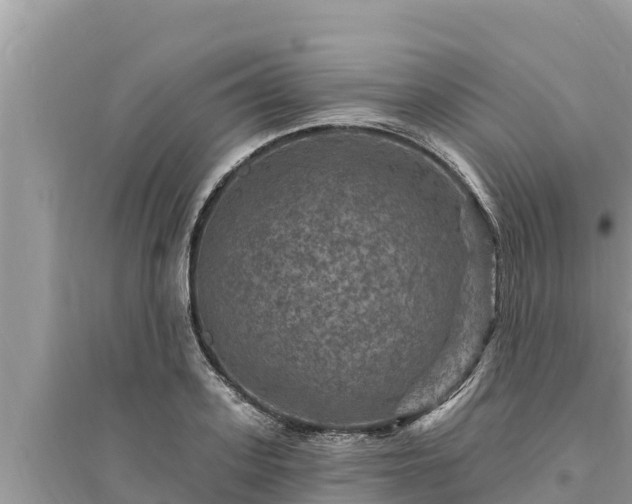 X0000095550939200712211406