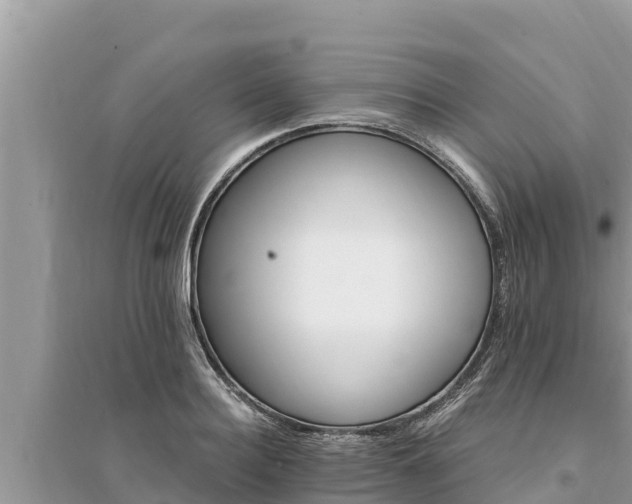 X0000095550940200712211406