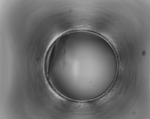 X0000095550941200712211406