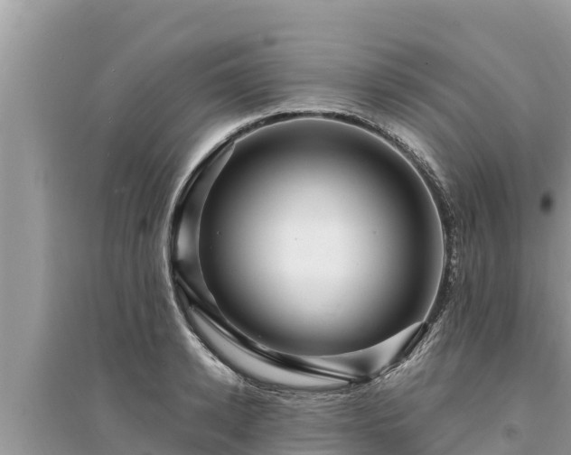 X0000095550942200712211406