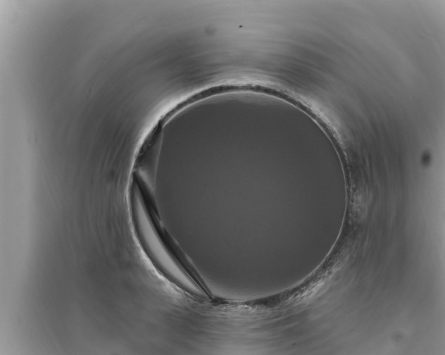 X0000095550943200712211406