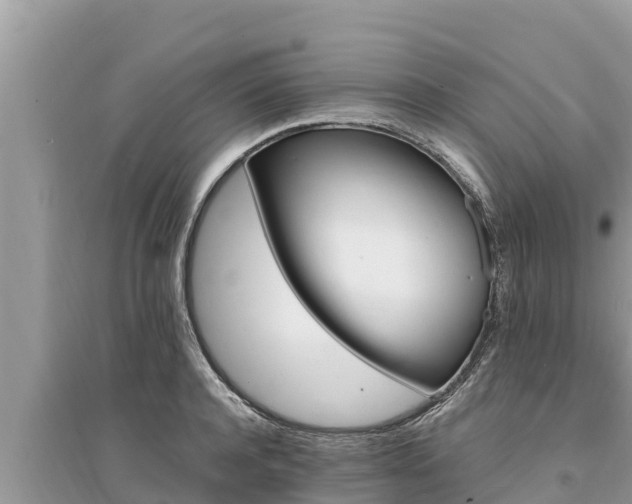 X0000095550944200712211406