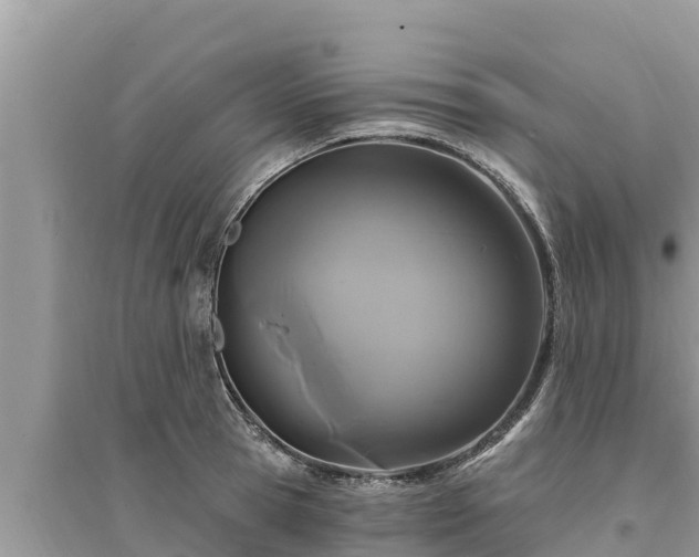 X0000095550945200712211406