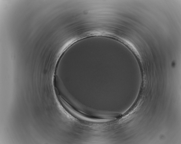 X0000095550946200712211406