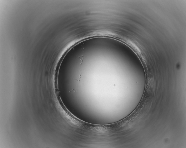 X0000095550947200712211406