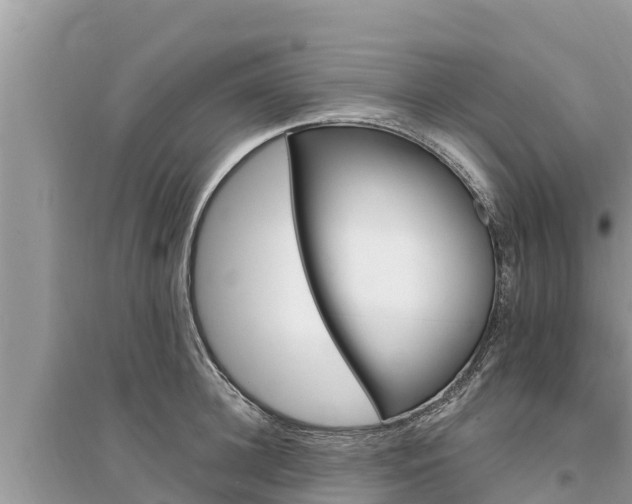 X0000095550948200712211406