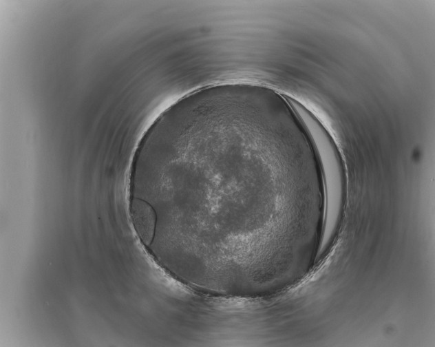 X0000095550949200712211406