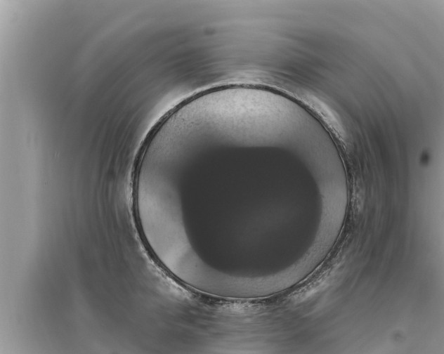 X0000095550950200712211407