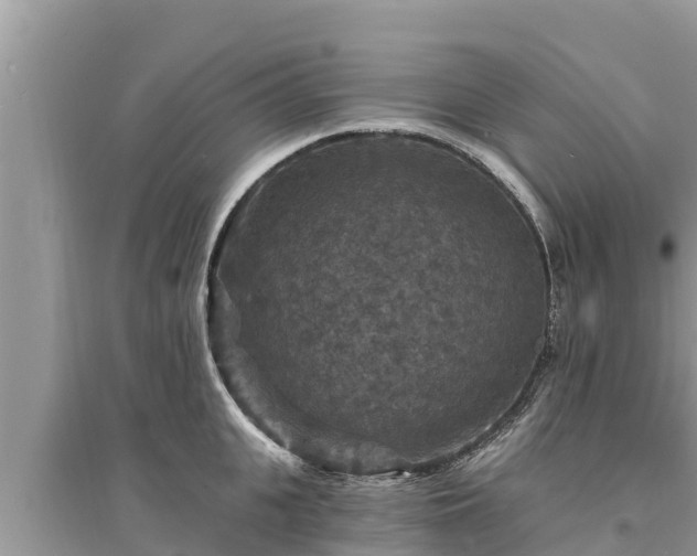 X0000095550951200712211407