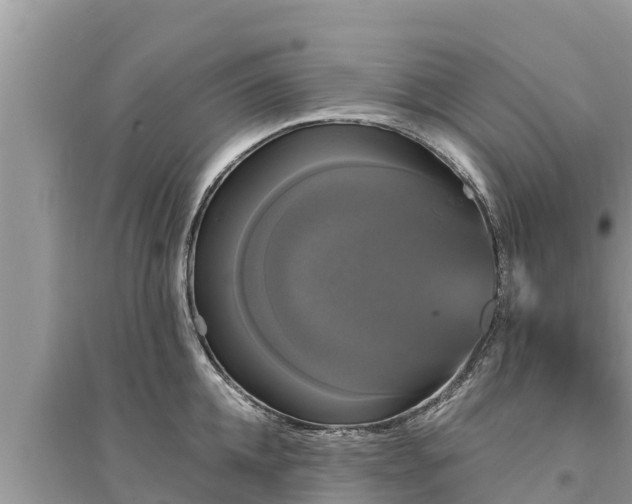 X0000095550952200712211407