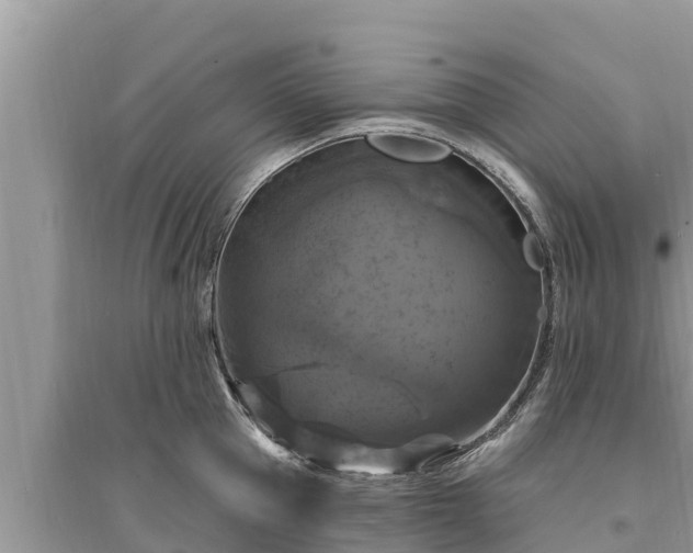 X0000095550953200712211407