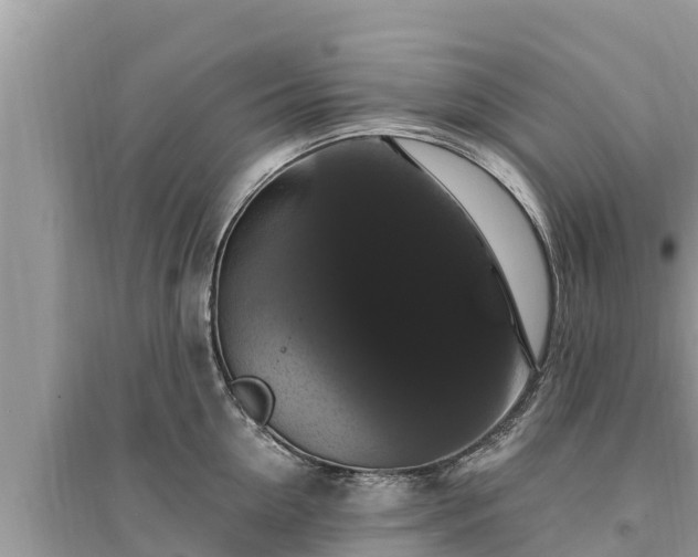 X0000095550954200712211407