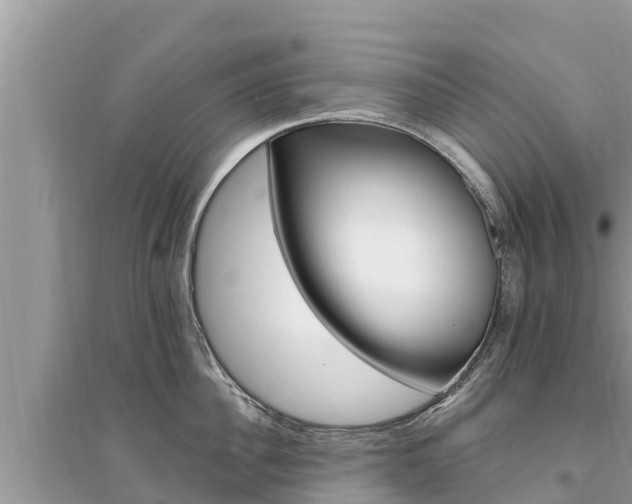 X0000095550956200712211407