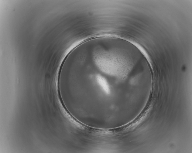 X0000095550957200712211407