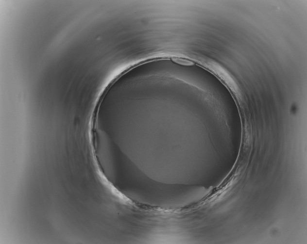 X0000095550958200712211407