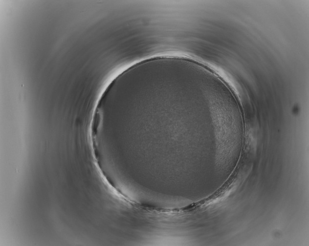 X0000095550959200712211407