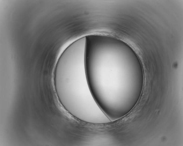 X0000095550960200712211407