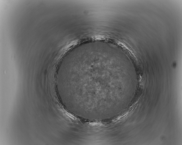 X0000095550961200712211406