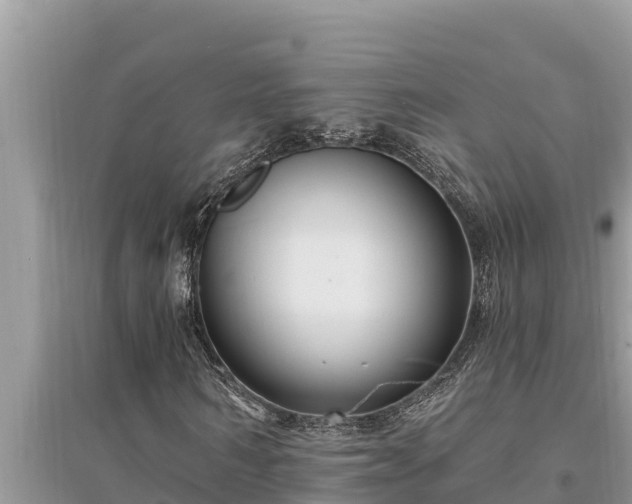 X0000095550962200712211406