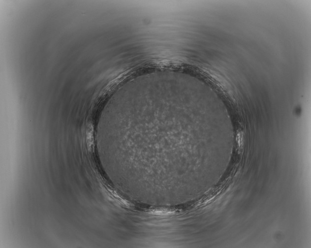 X0000095550963200712211406