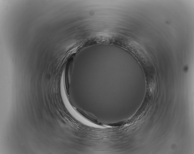 X0000095550964200712211406