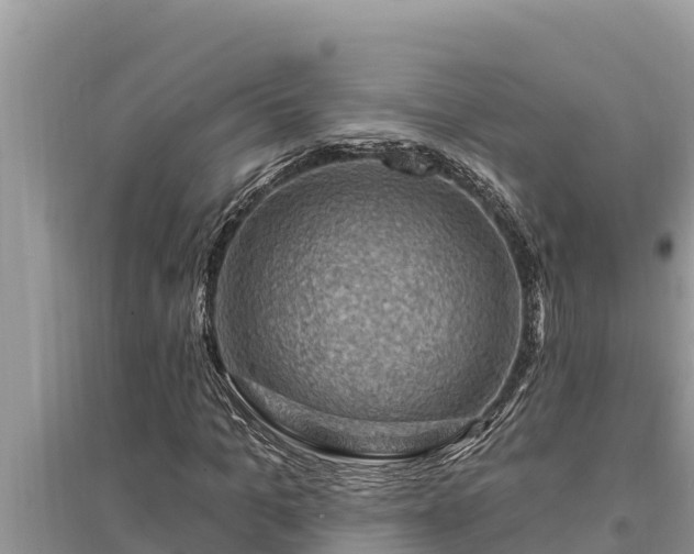 X0000095550965200712211406