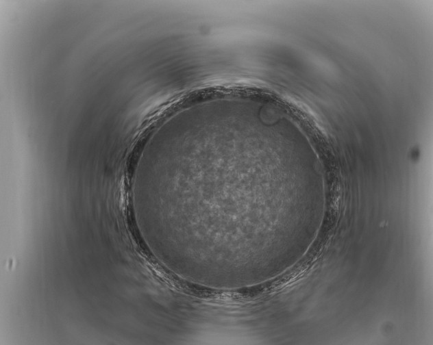 X0000095550966200712211406