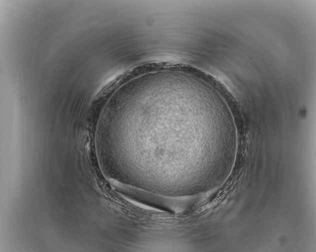 X0000095550967200712211406