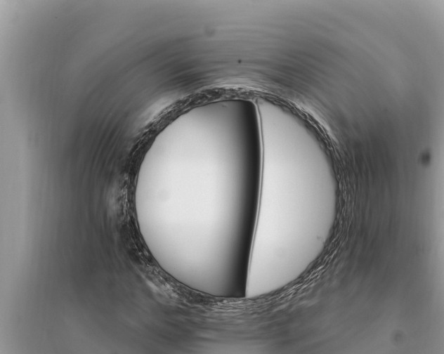 X0000095550968200712211406