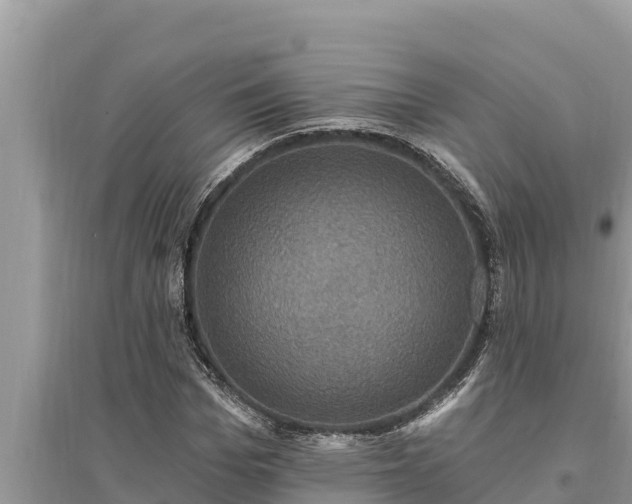 X0000095550969200712211406