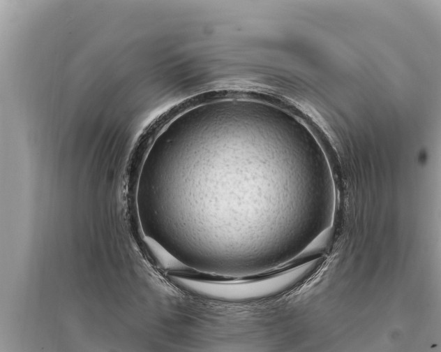 X0000095550971200712211406